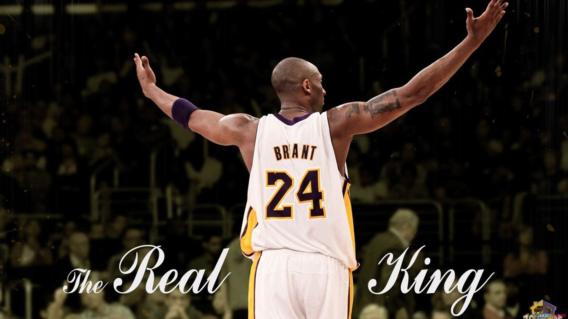 奥运周期关键战之夜,帕尔默打出统治级数据,背后是十年磨一剑的沉默与爆发